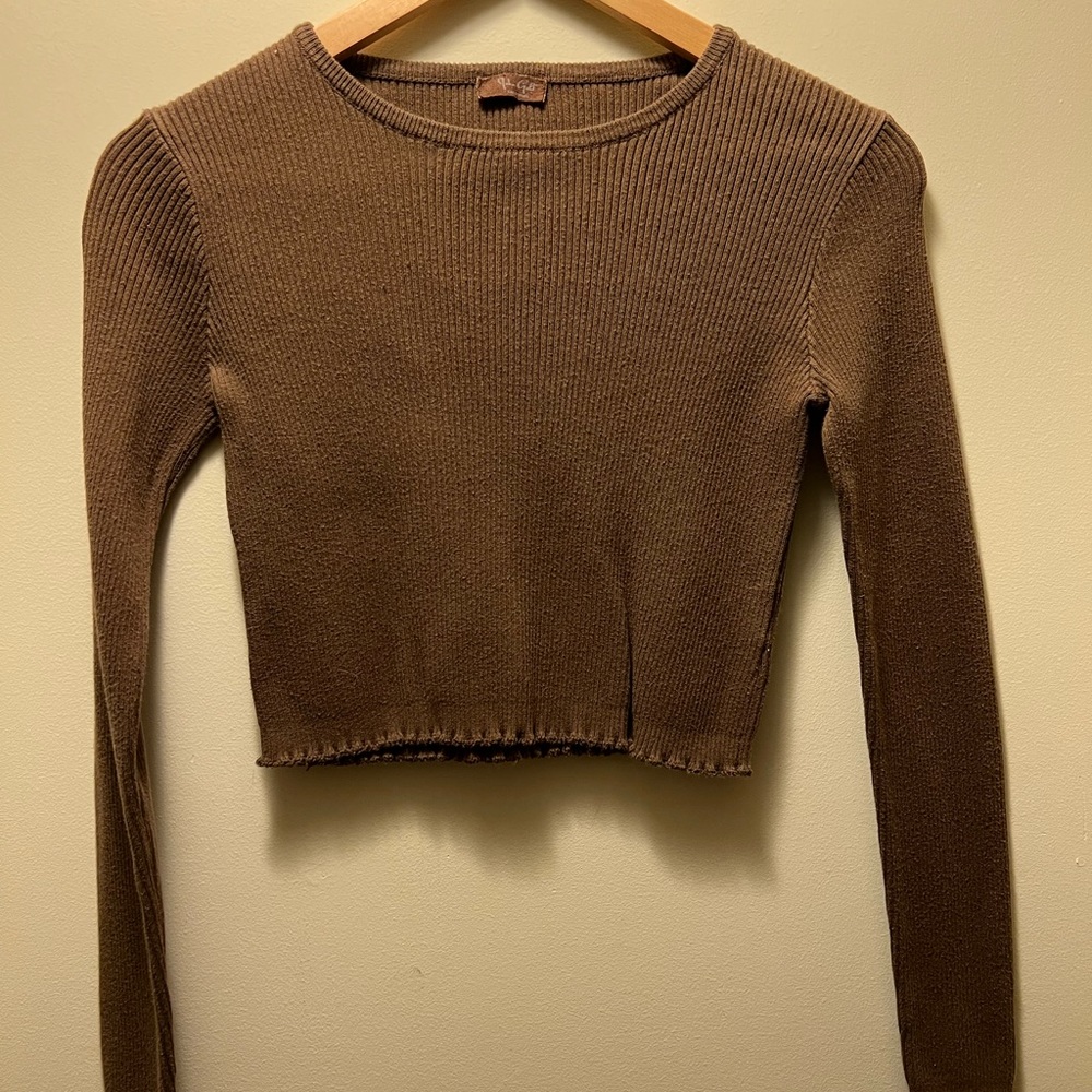 Brandy Melville Brown Sweater Crop
